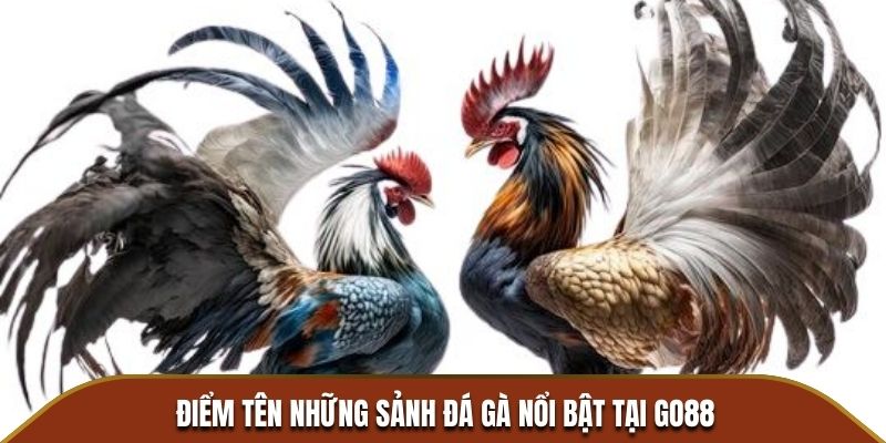 Điểm tên những sảnh đá gà nổi bật tại GO88