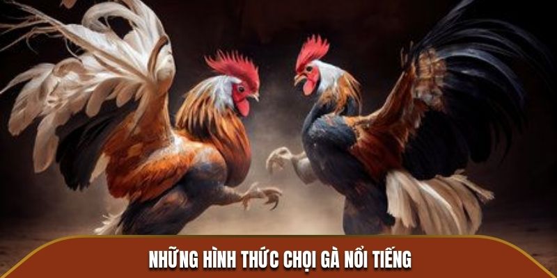 Những hình thức chọi gà nổi tiếng