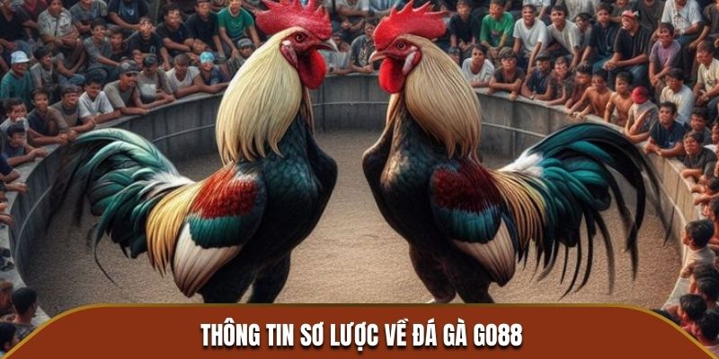 Thông tin sơ lược về đá gà GO88