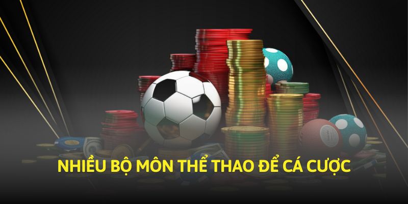 Nhiều bộ môn thể thao để cá cược